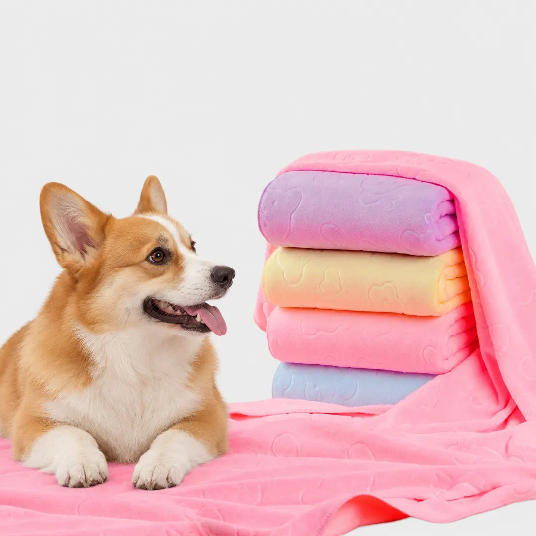 SnugDry™ Quick-Dry Pet Towel