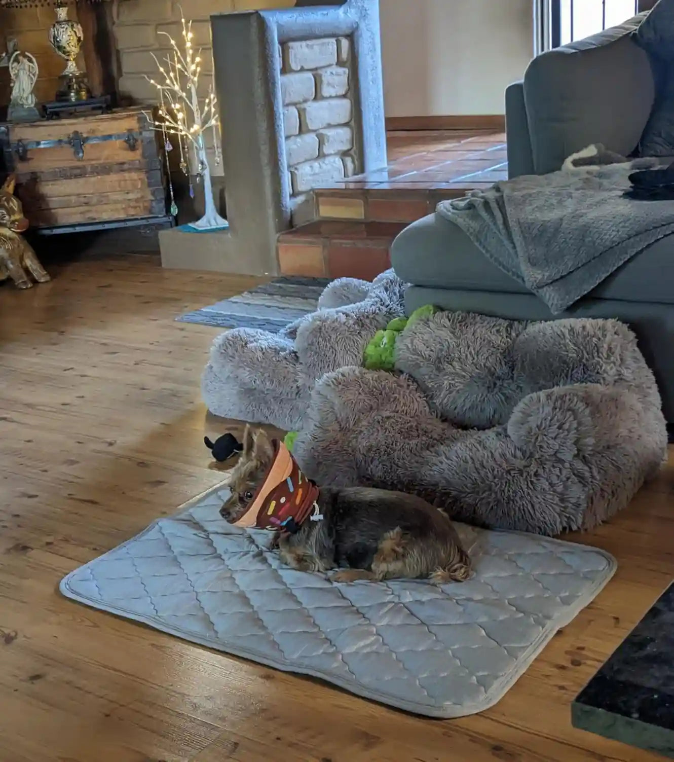 Bark Haul