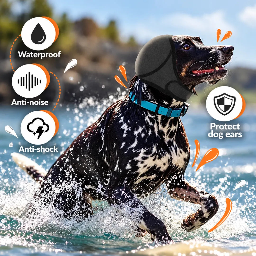 AquaHood™ Dog Swim Ear Muffs