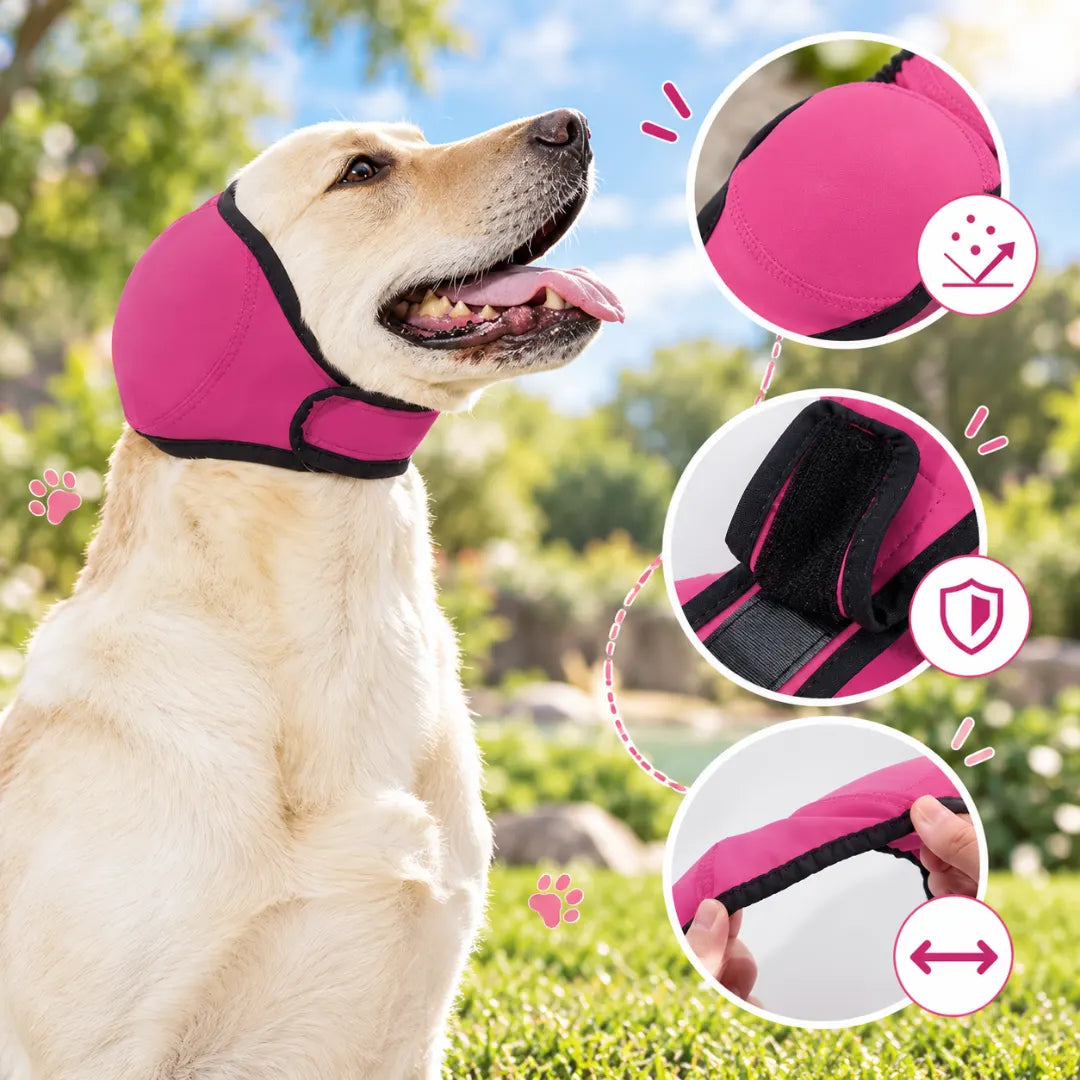AquaHood™ Dog Swim Ear Muffs