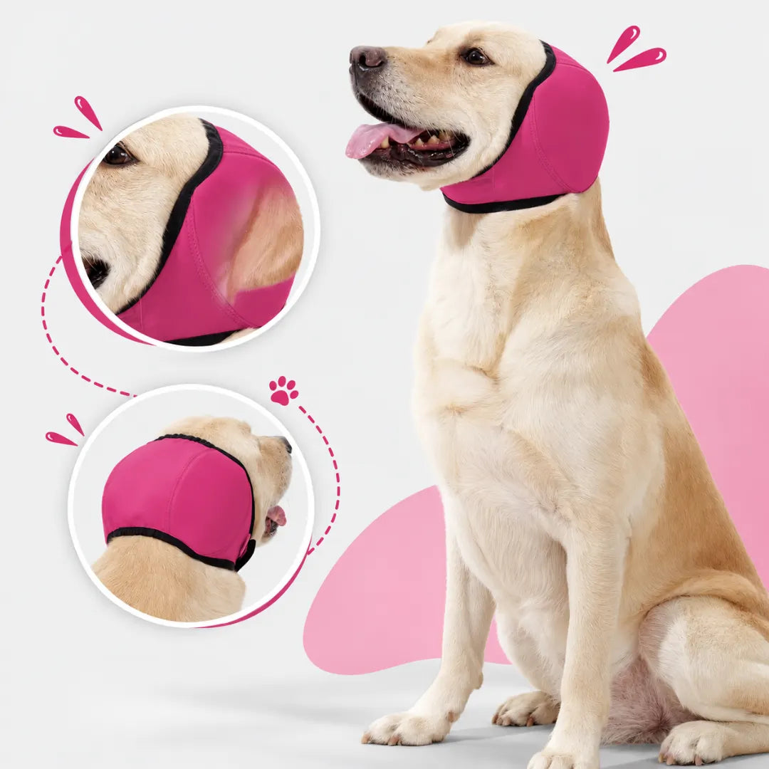 AquaHood™ Dog Swim Ear Muffs