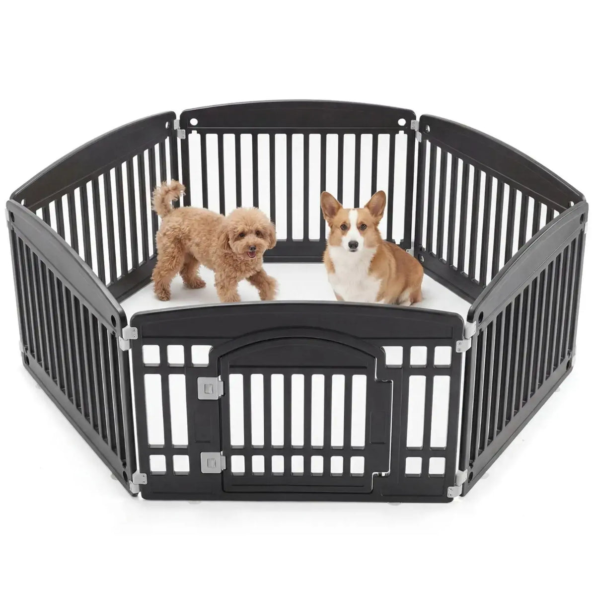 A black plastic pet playpen with a hinged gate design, shown with two small dogs inside on a white background.