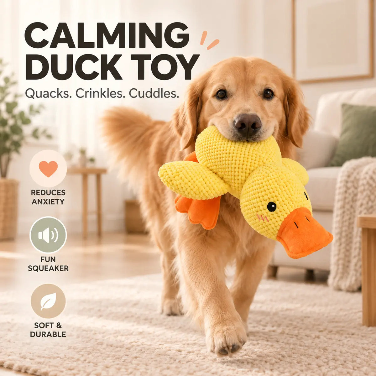 A golden retriever dog carries a yellow knitted duck toy with an orange beak in its mouth while walking across a light rug in a living room. Large text at the top reads 'CALMING DUCK TOY' with smaller descriptive copy, and three feature icons on the left mention reducing anxiety, fun squeaker, and soft & durable.