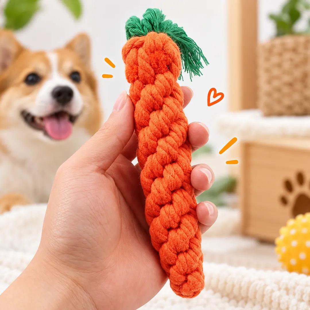 CarrotChew™ Dog Teething Toy | Puppy Teeth Cleaning Toy