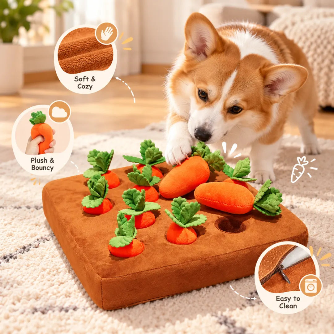 CarrotHunt™ Pet Toy