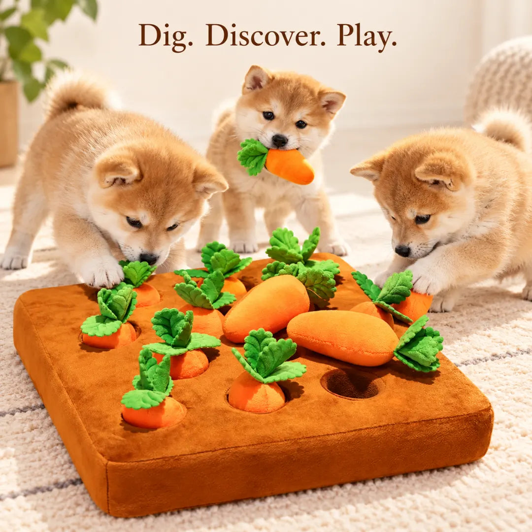 CarrotHunt™ Pet Toy