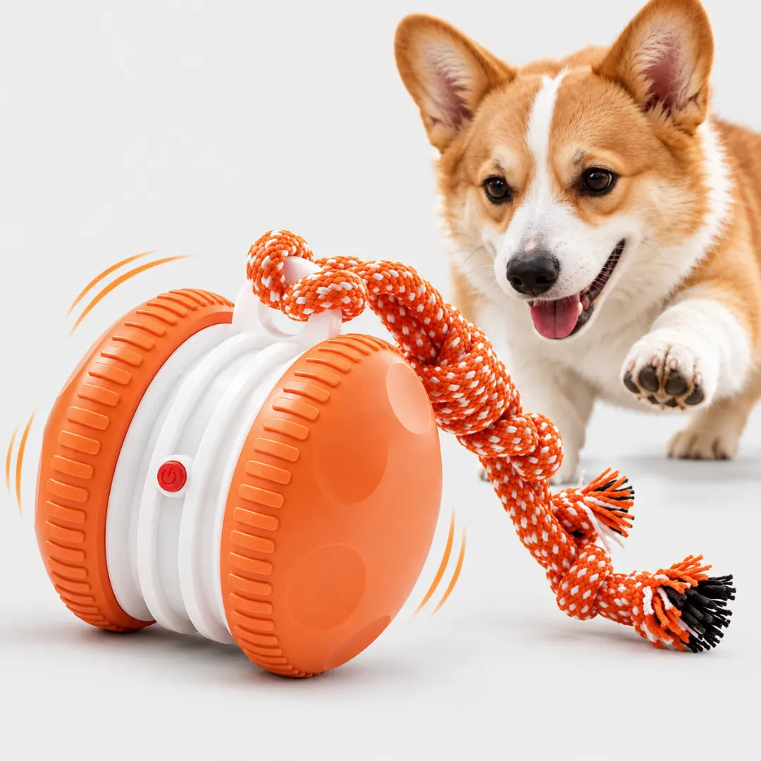 ChaseWheel™ Interactive Pet Toy