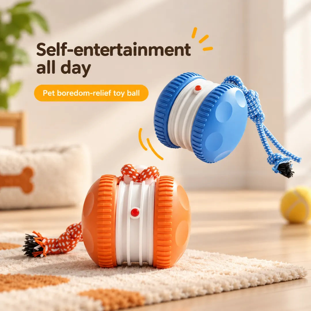 ChaseWheel™ Interactive Pet Toy