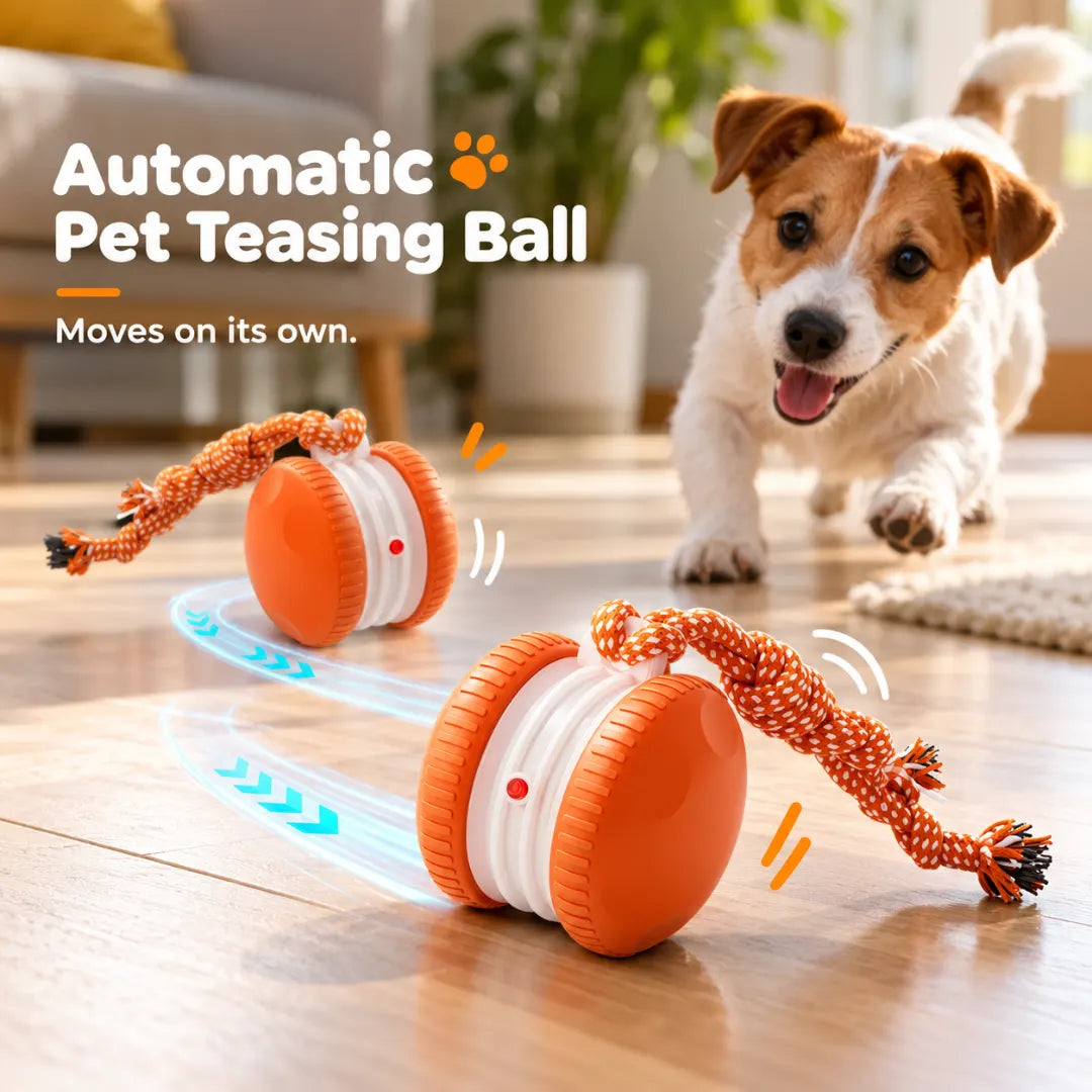 ChaseWheel™ Interactive Pet Toy
