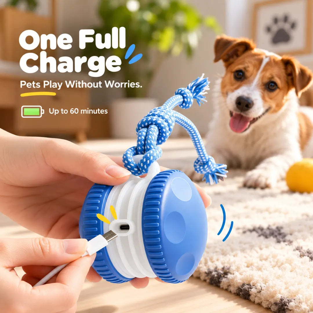 ChaseWheel™ Interactive Pet Toy