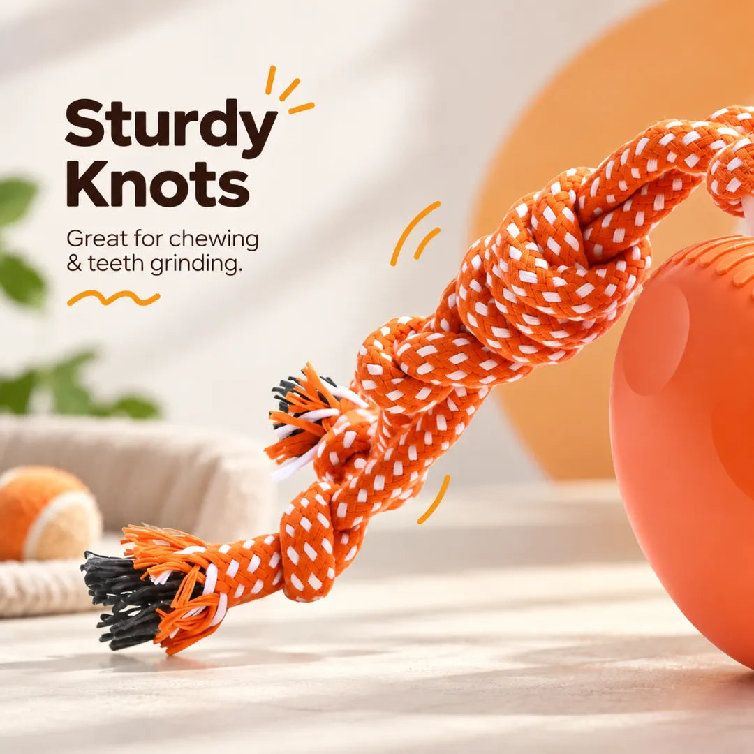 ChaseWheel™ Interactive Pet Toy