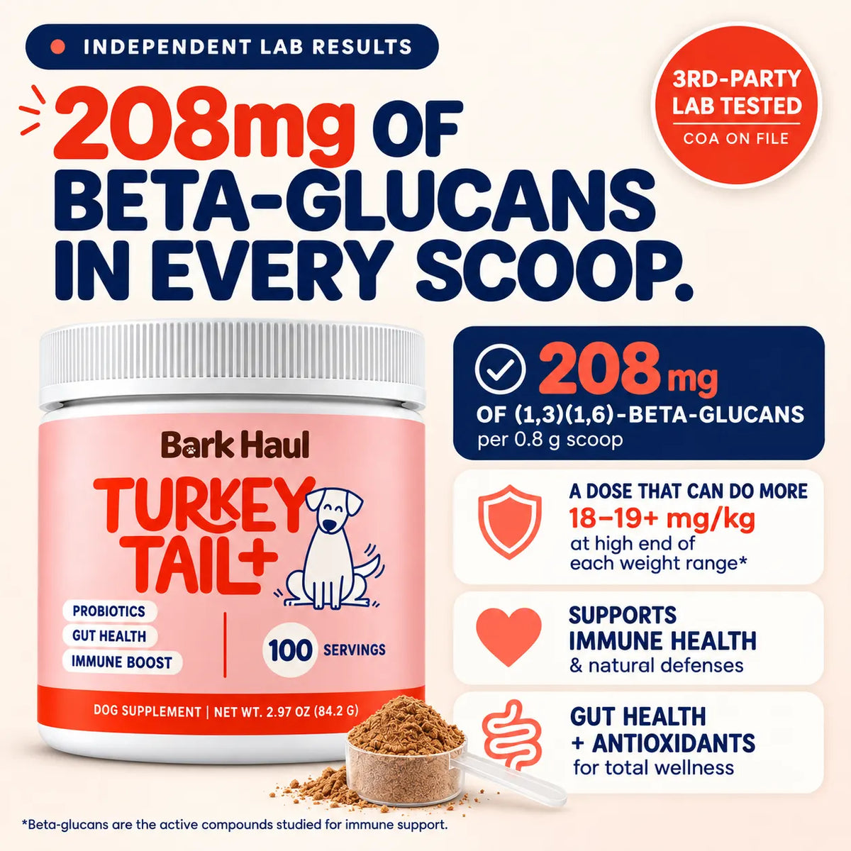 Turkey Tail for Dogs – Probiotics, Gut & Immune Support | Bark Haul
