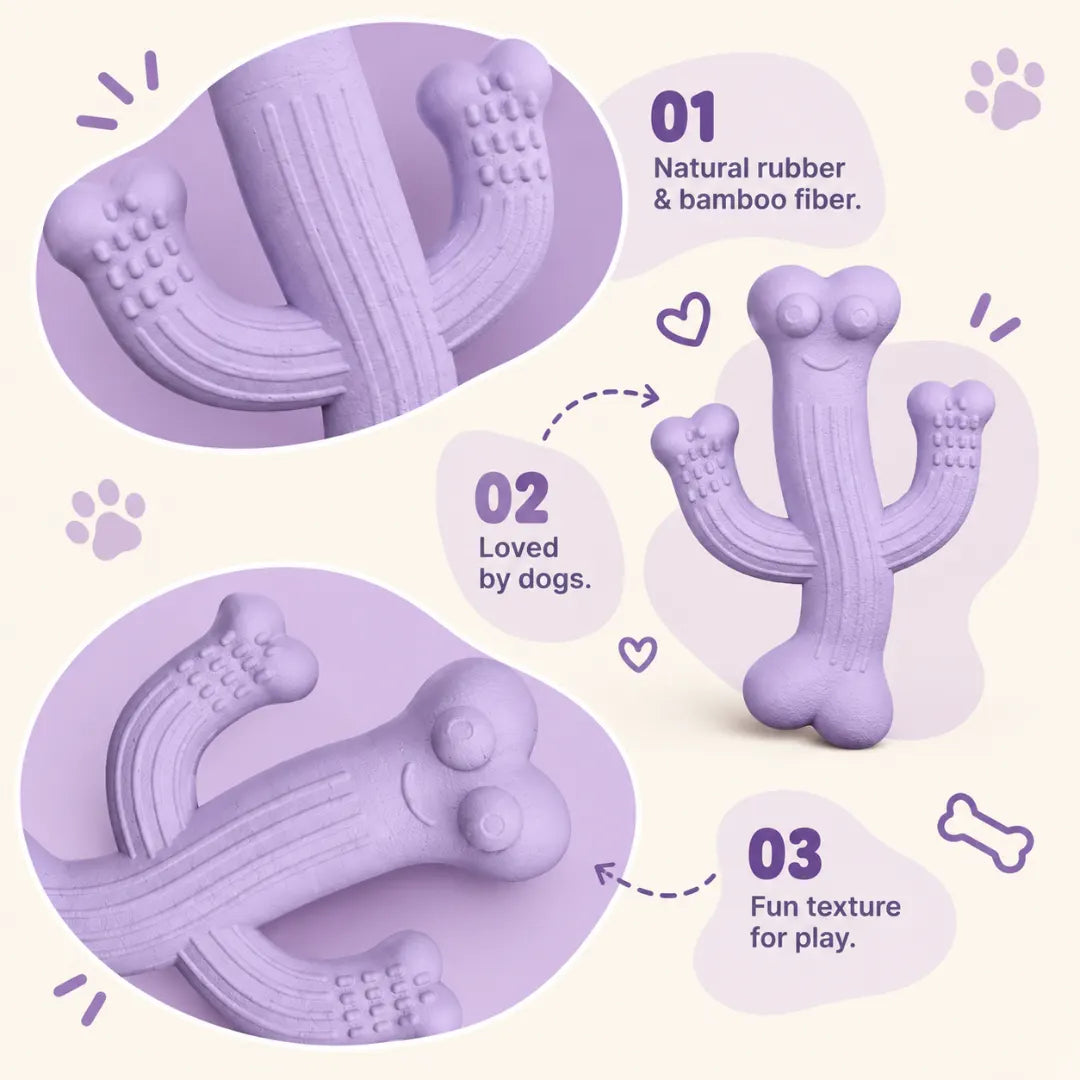 ChompCactus™ Natural Puppy Chew Toy
