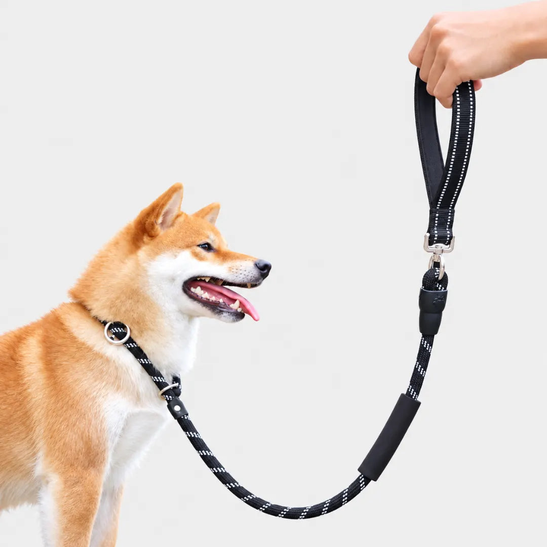 CityWalk™ Pet Dual-Grip Leash