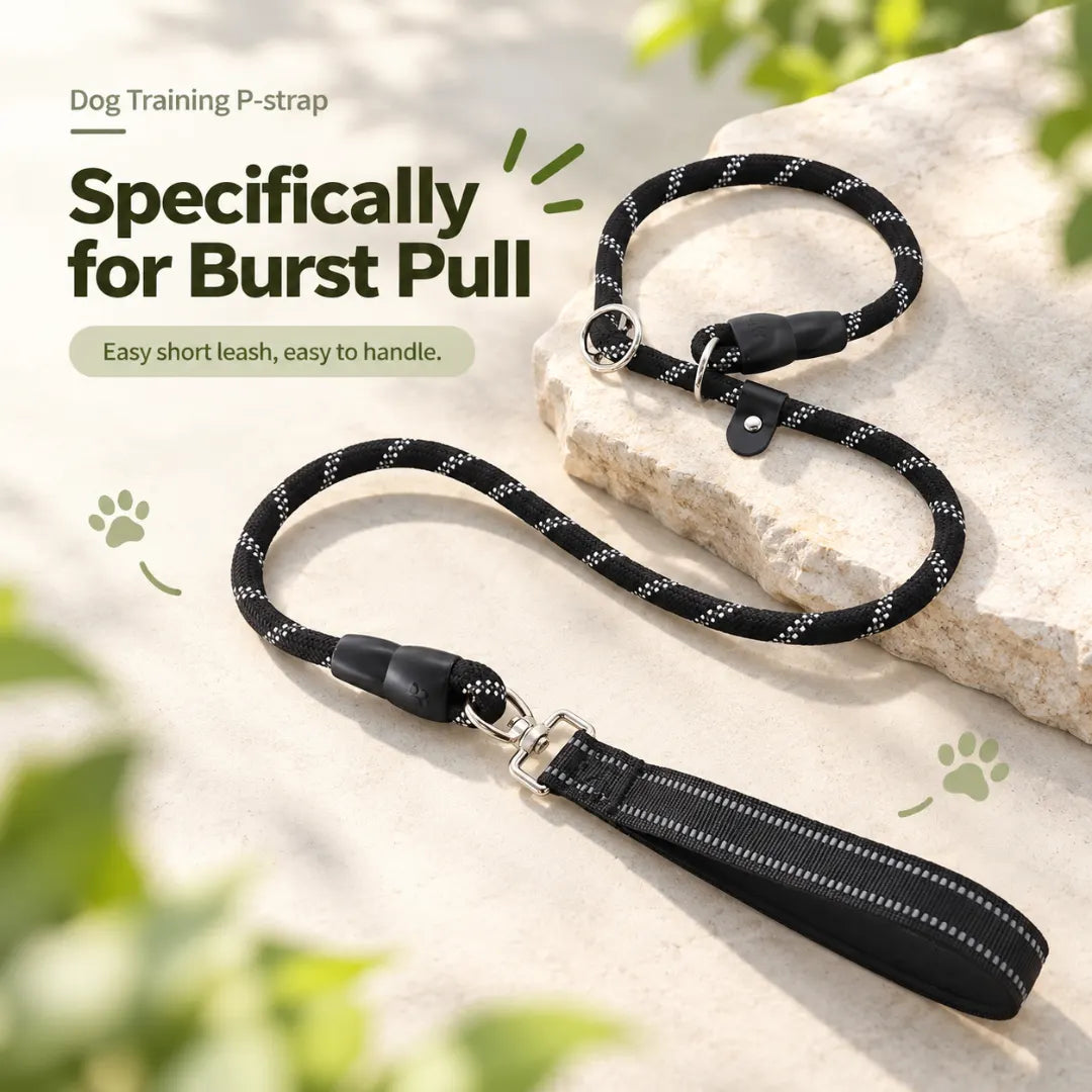 CityWalk™ Pet Dual-Grip Leash