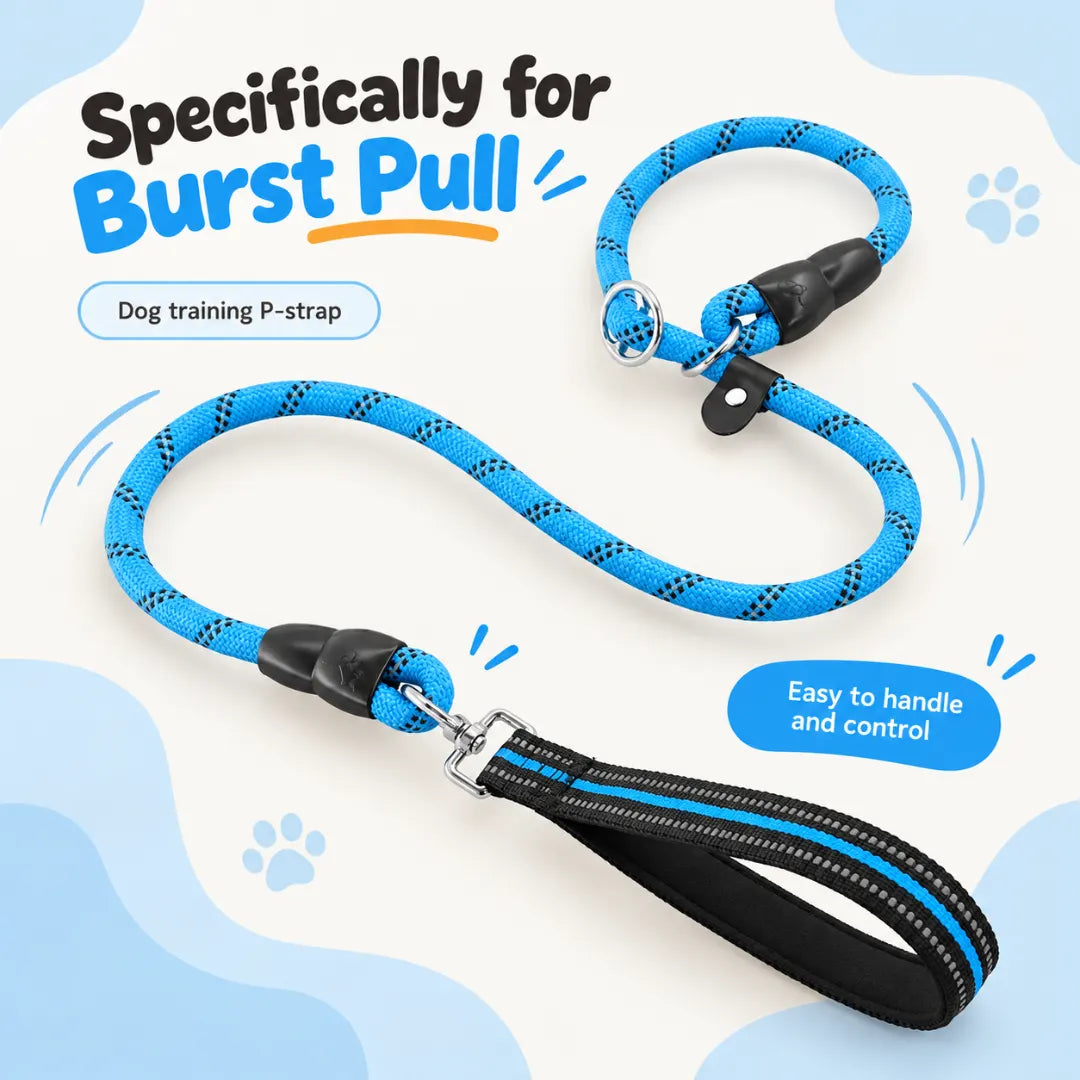 CityWalk™ Pet Dual-Grip Leash