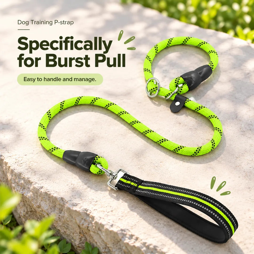 CityWalk™ Pet Dual-Grip Leash