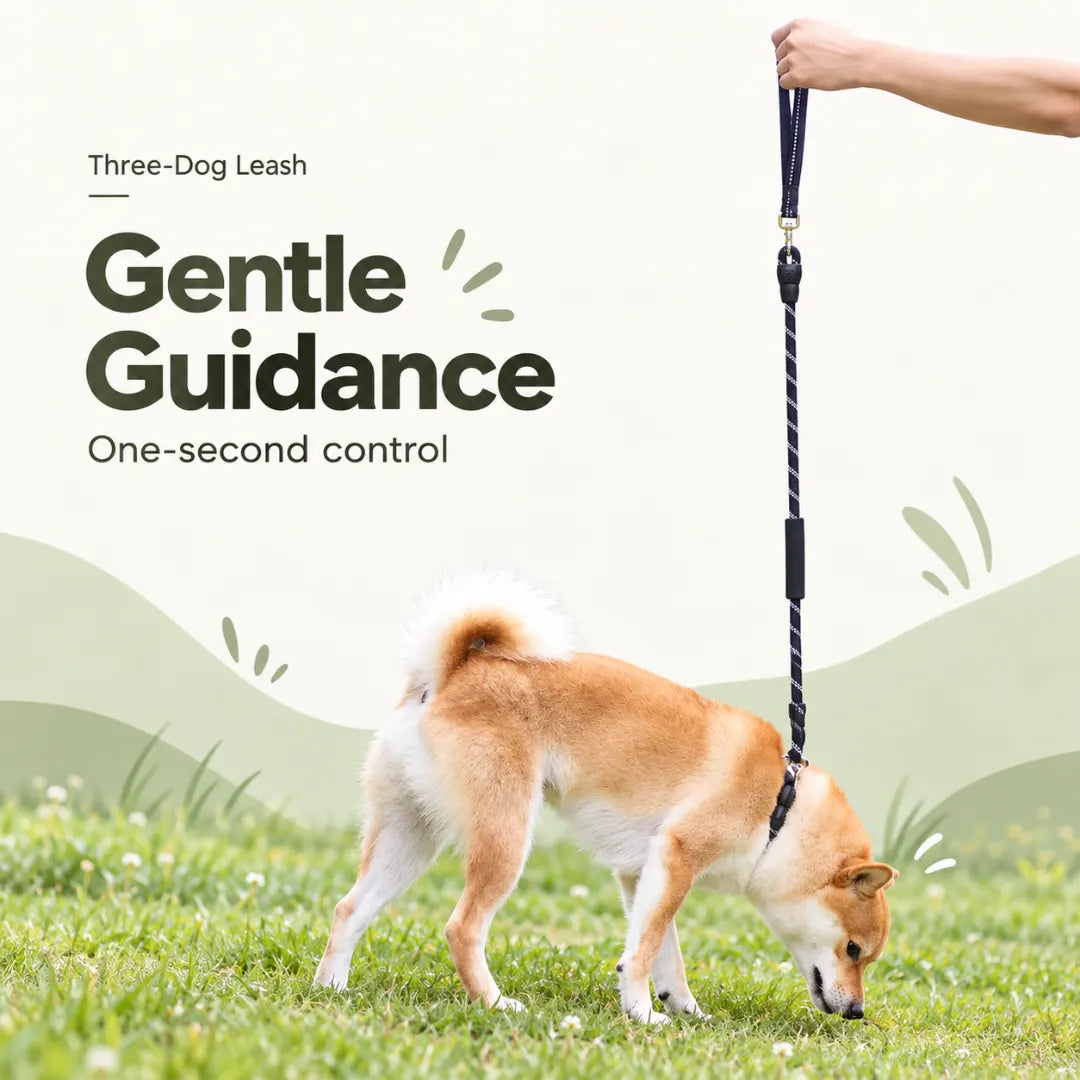 CityWalk™ Pet Dual-Grip Leash