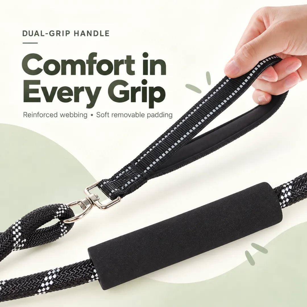 CityWalk™ Pet Dual-Grip Leash