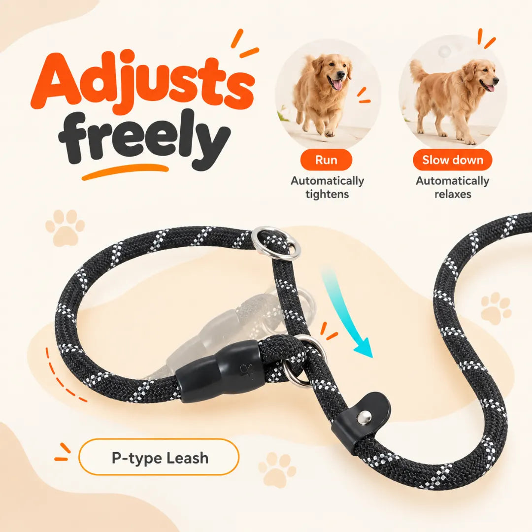CityWalk™ Pet Dual-Grip Leash
