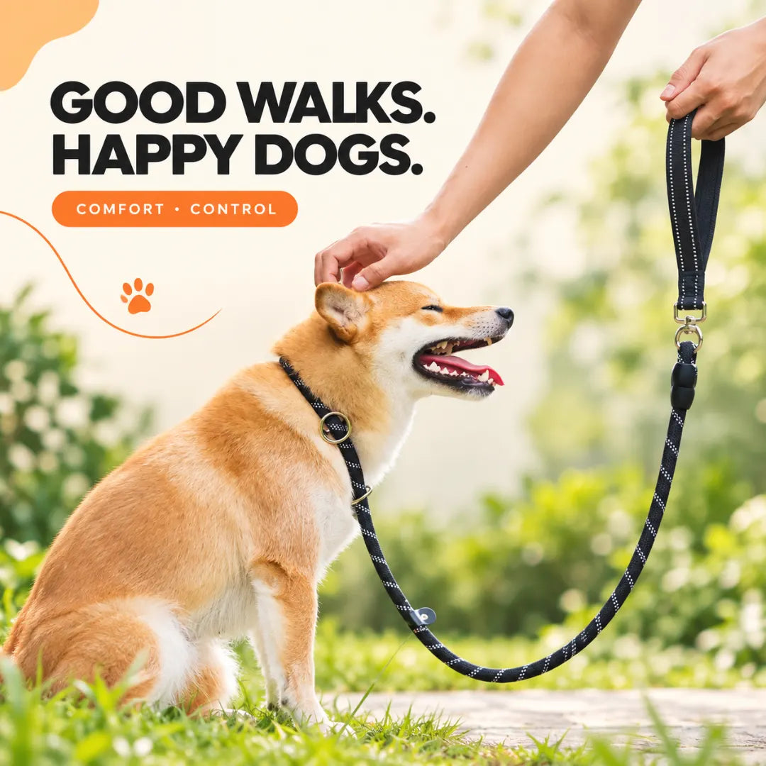 CityWalk™ Pet Dual-Grip Leash