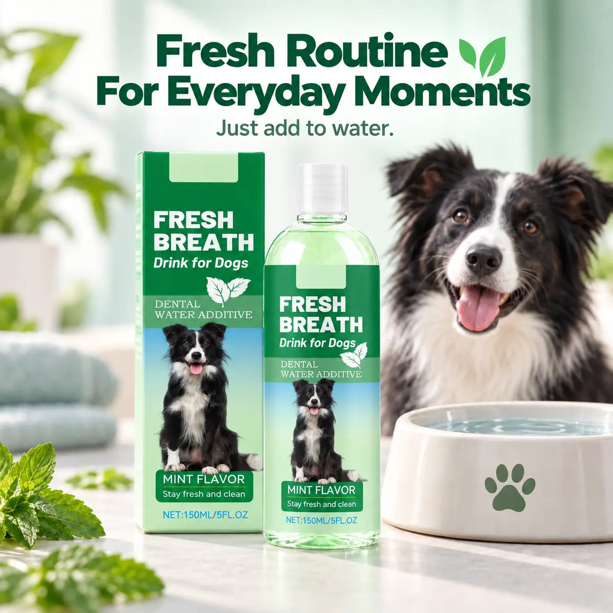 Dog Dental Water Additive