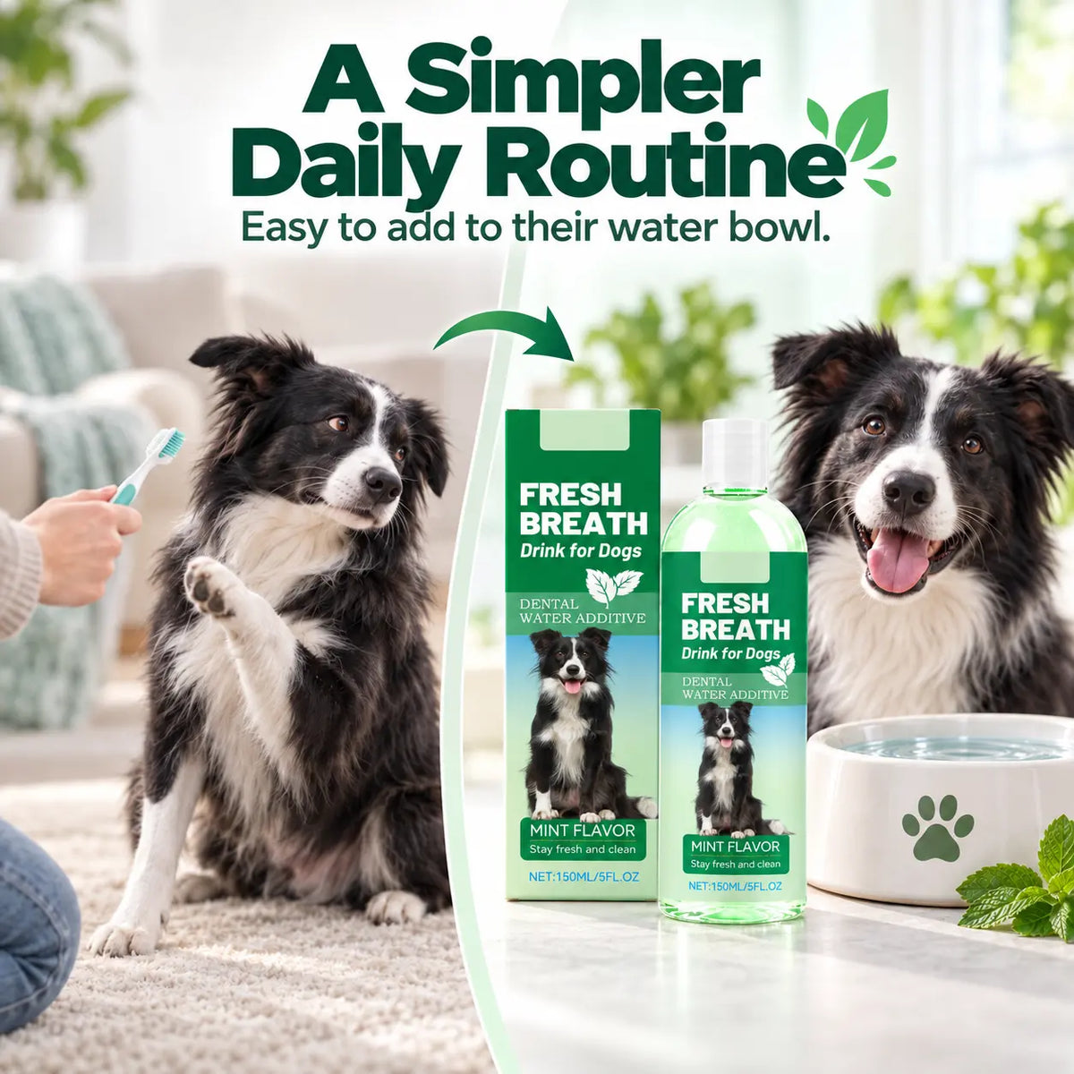 Dog Dental Water Additive