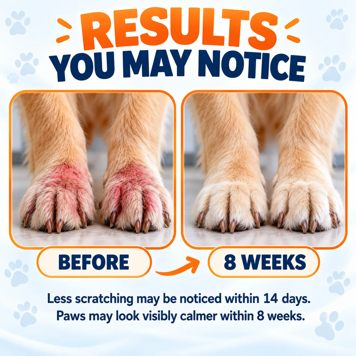 Dog Anti-Yeast Drops for Healthier Skin & Gut