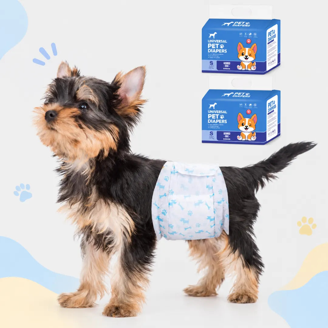 DryPaw™ Disposable Dog Diapers