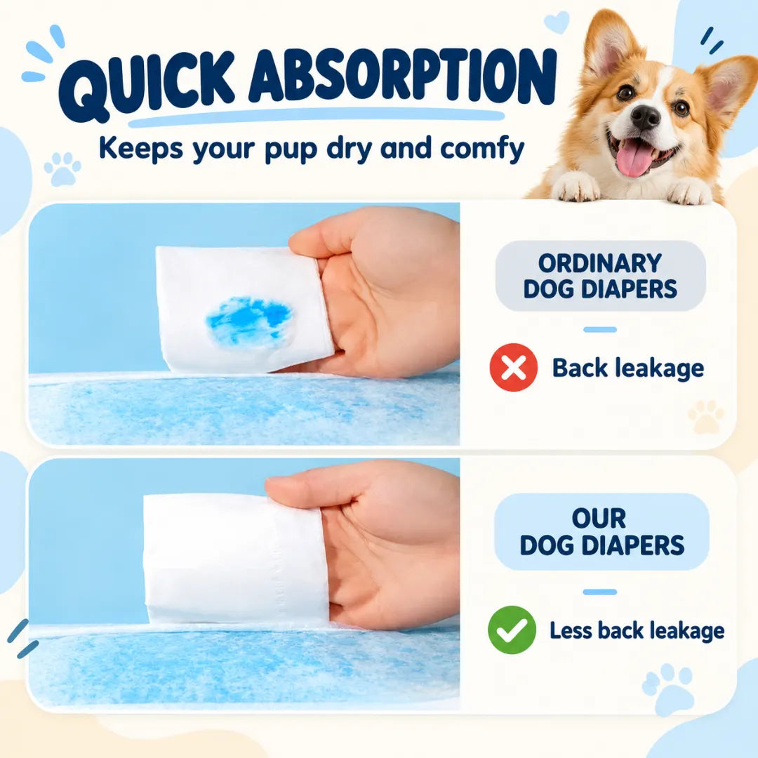 DryPaw™ Disposable Dog Diapers
