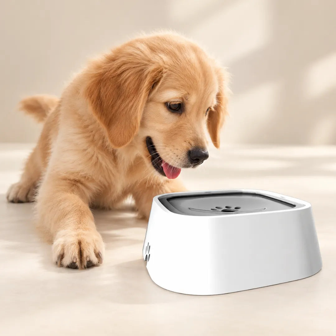 DrySip™ Anti-Splash Dog Water Bowl