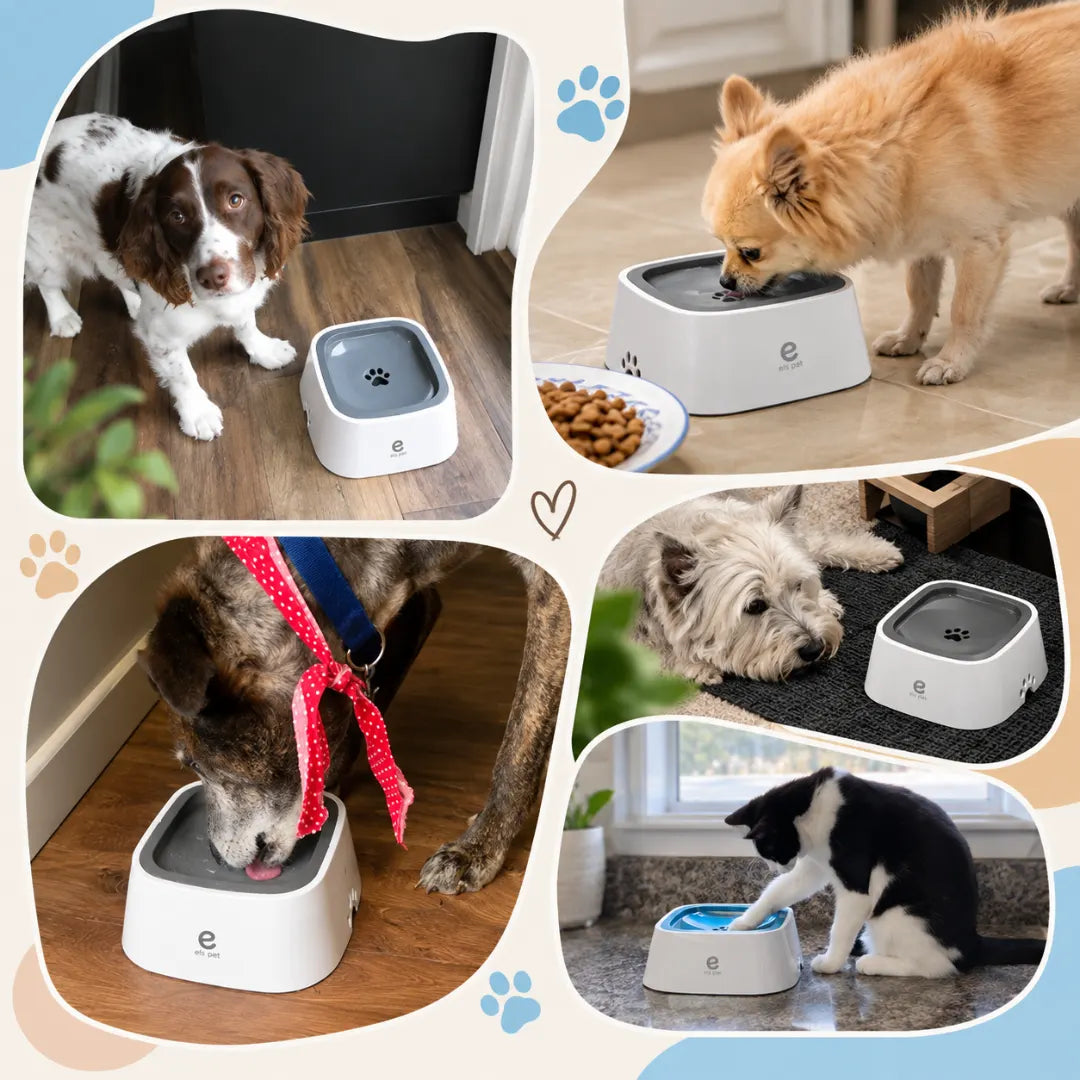 DrySip™ Anti-Splash Dog Water Bowl