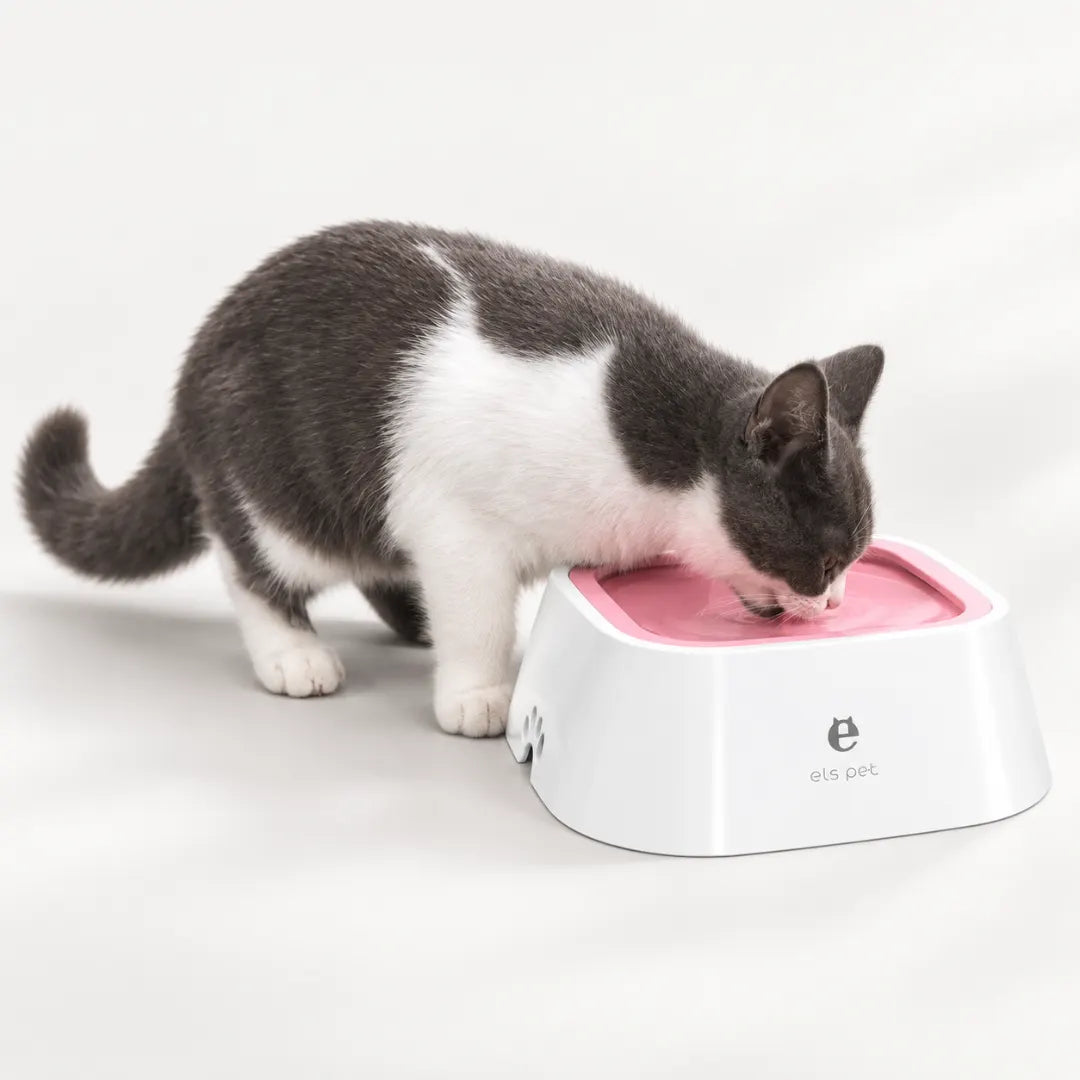 DrySip™ Anti-Splash Dog Water Bowl