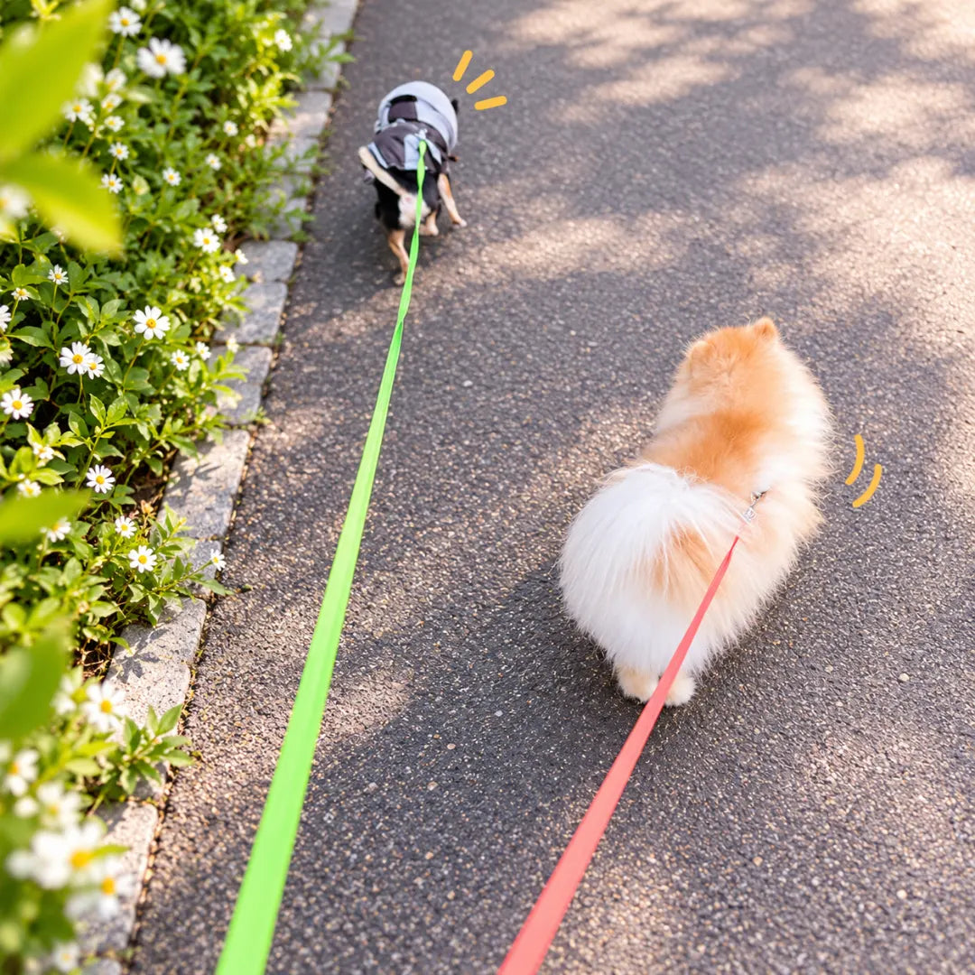 DuoLead™ Tangle-Free Dog Leash