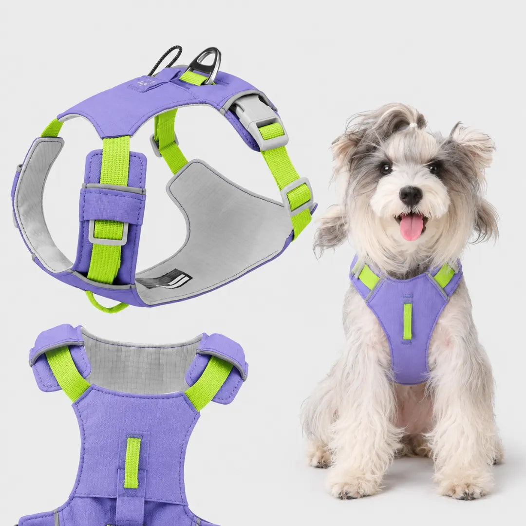 EasyRoam™ Adjustable Dog Harness