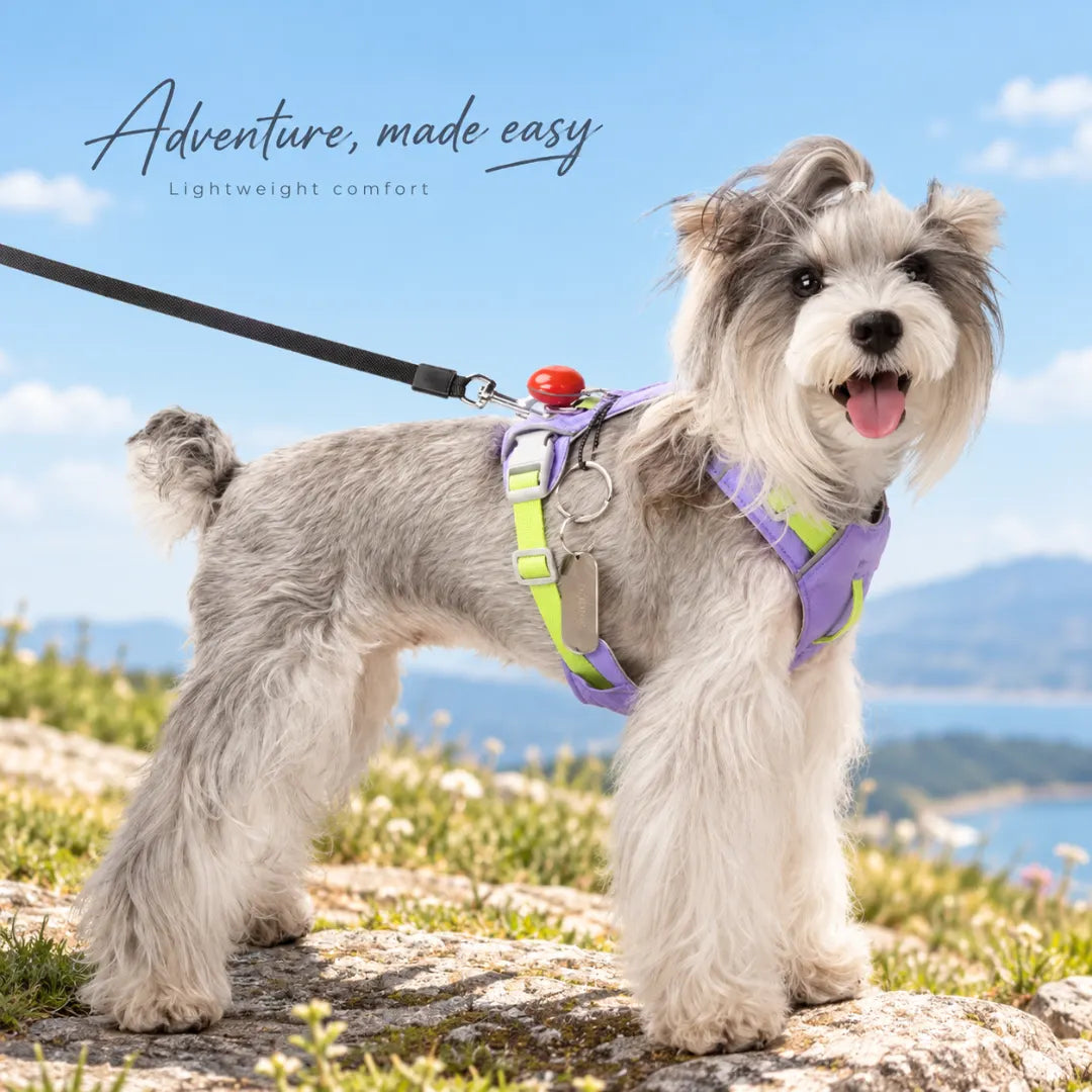 EasyRoam™ Adjustable Dog Harness