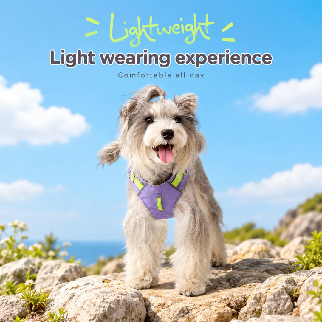 EasyRoam™ Adjustable Dog Harness
