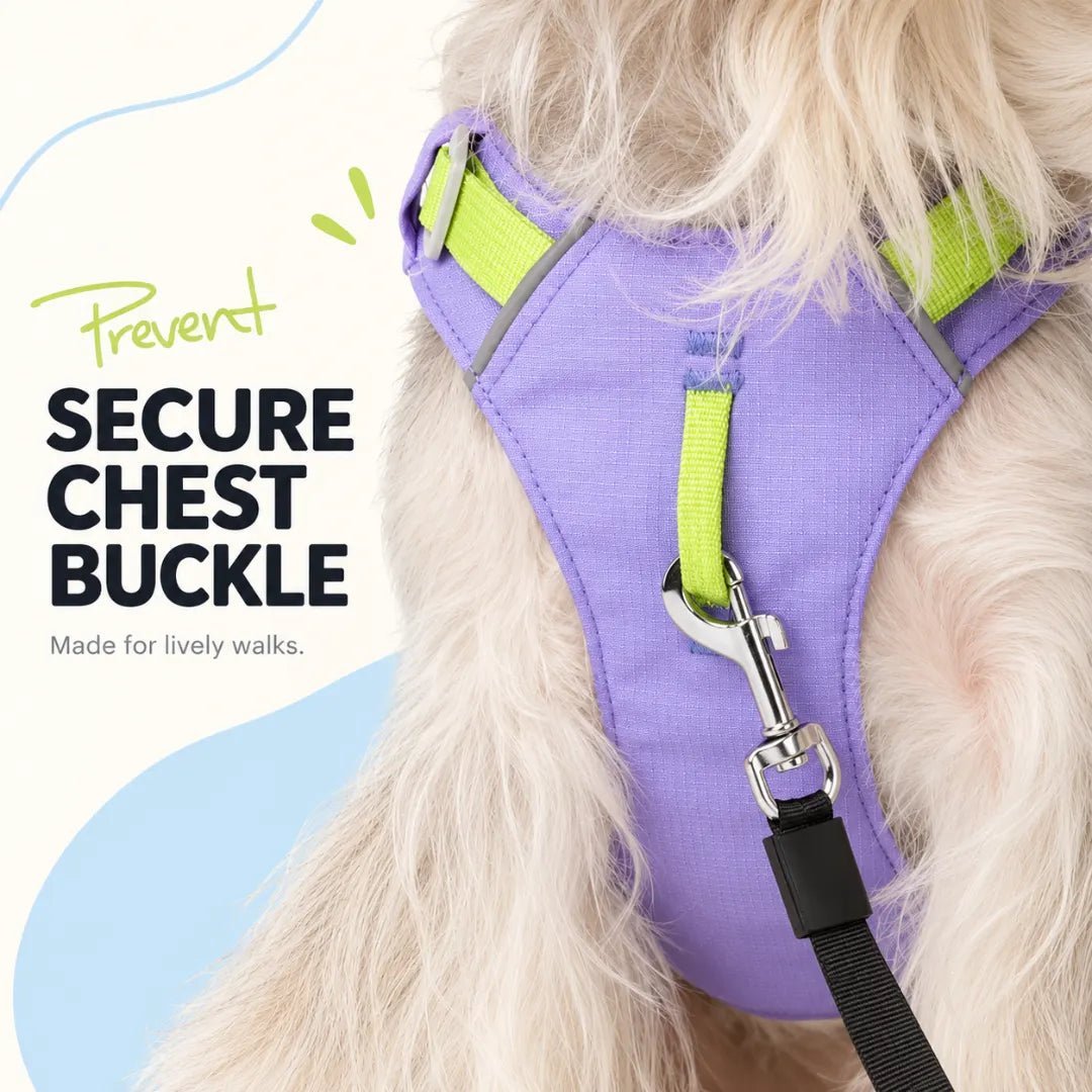 EasyRoam™ Adjustable Dog Harness