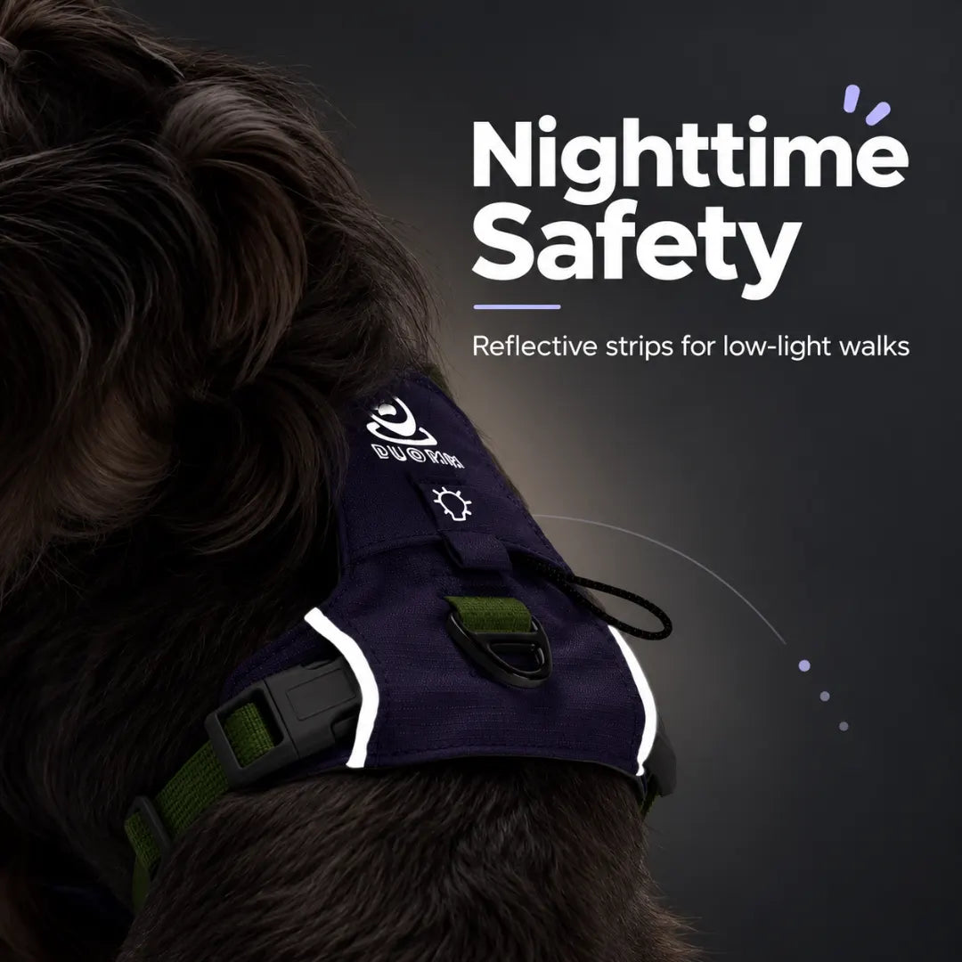 EasyRoam™ Adjustable Dog Harness