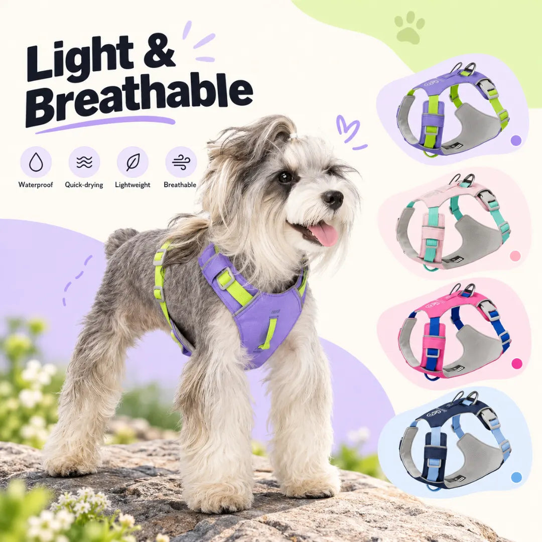 EasyRoam™ Adjustable Dog Harness