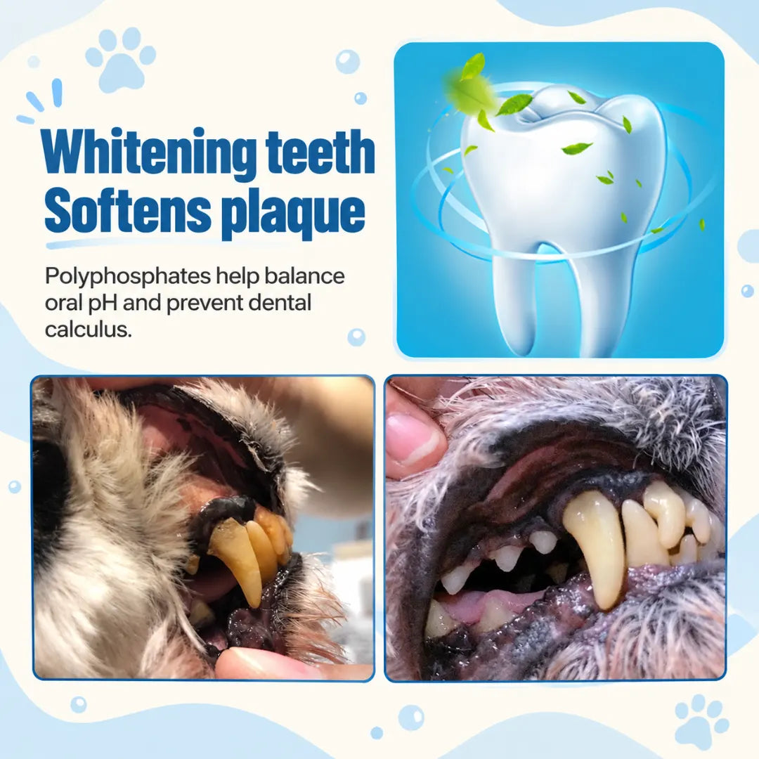 FangCare™ Pet Dental Foam