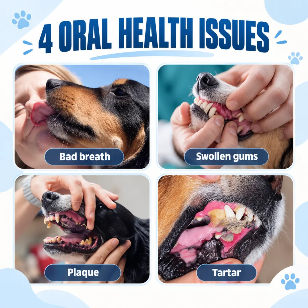 FangCare™ Pet Dental Foam