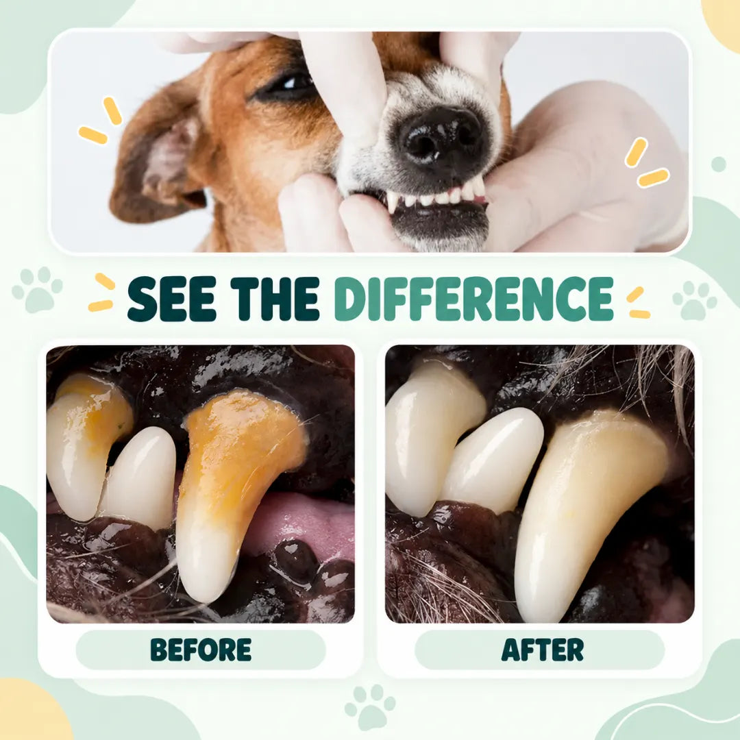 FangCare™ Pet Dental Foam