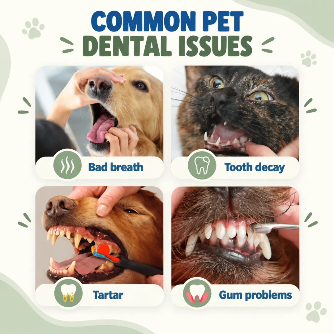 FangCare™ Pet Dental Foam