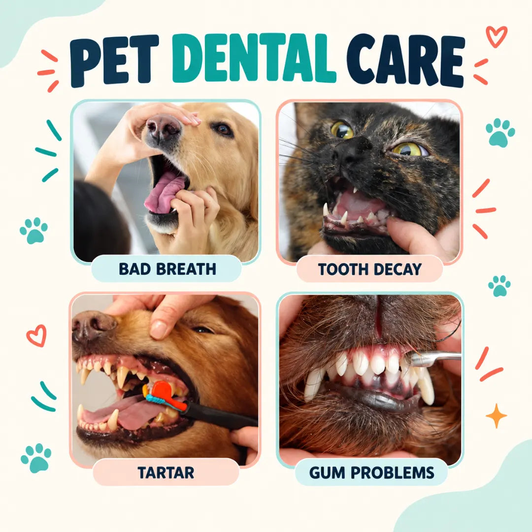 FreshFang™ Dog Dental Toothpaste