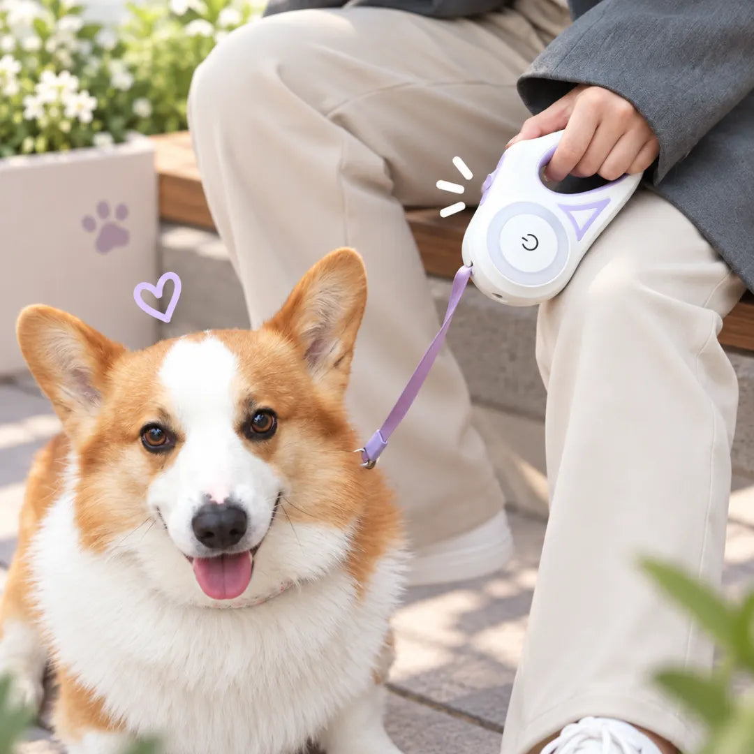 GlowLead™ Retractable Night Leash