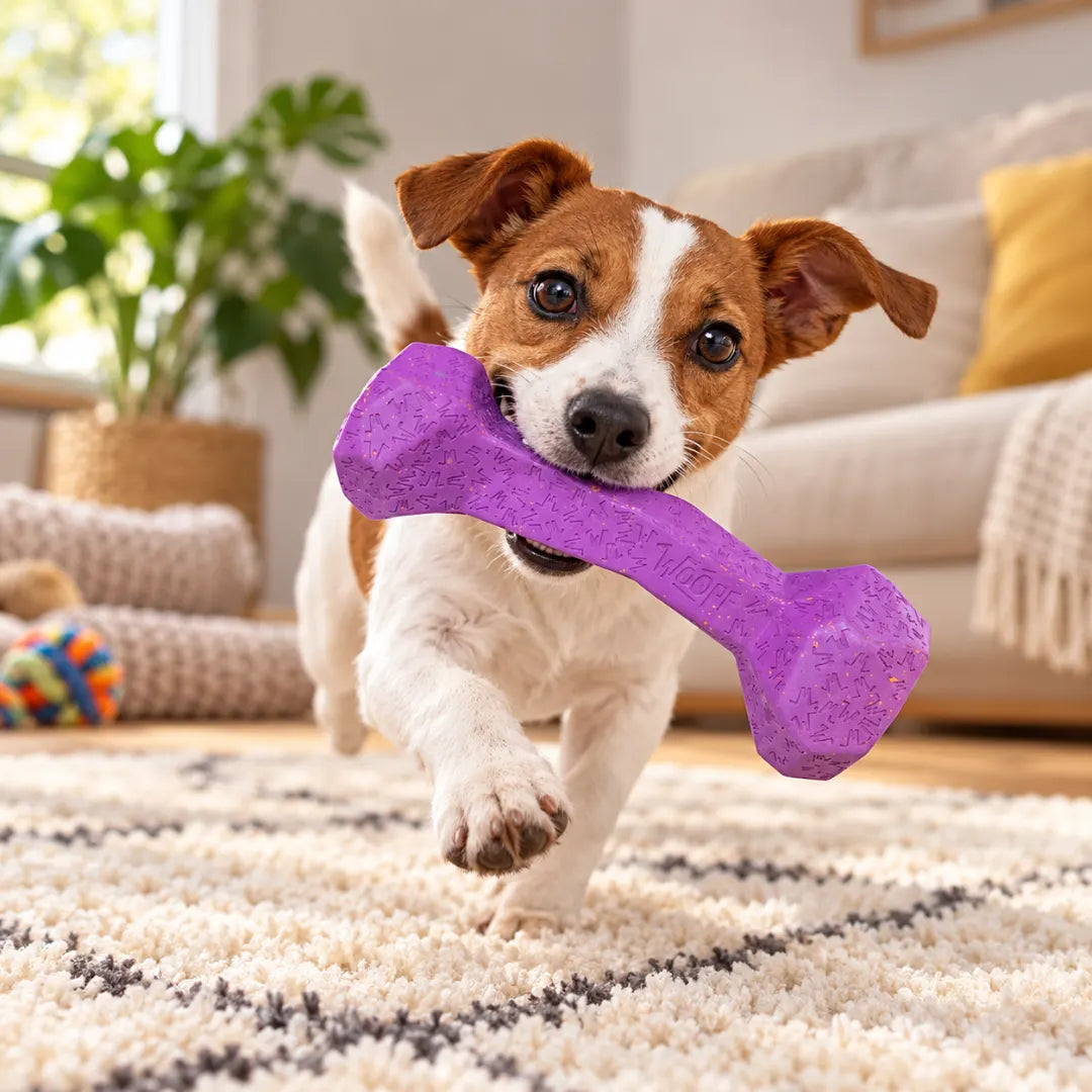 GnawGrade™ Durable Chew Toy Bone | For Strong Chewers