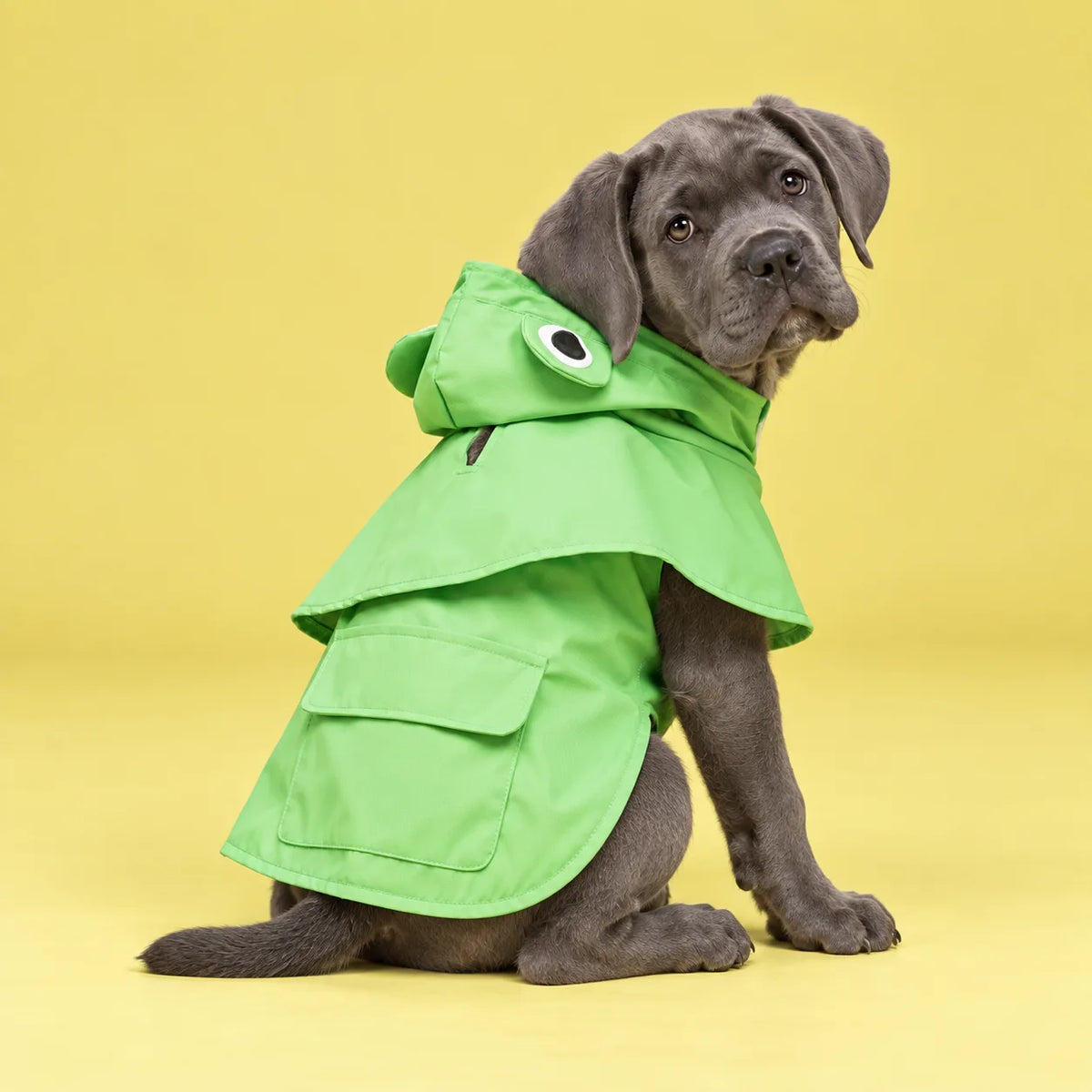 Dog Raincoat | Stylish Waterproof Cape