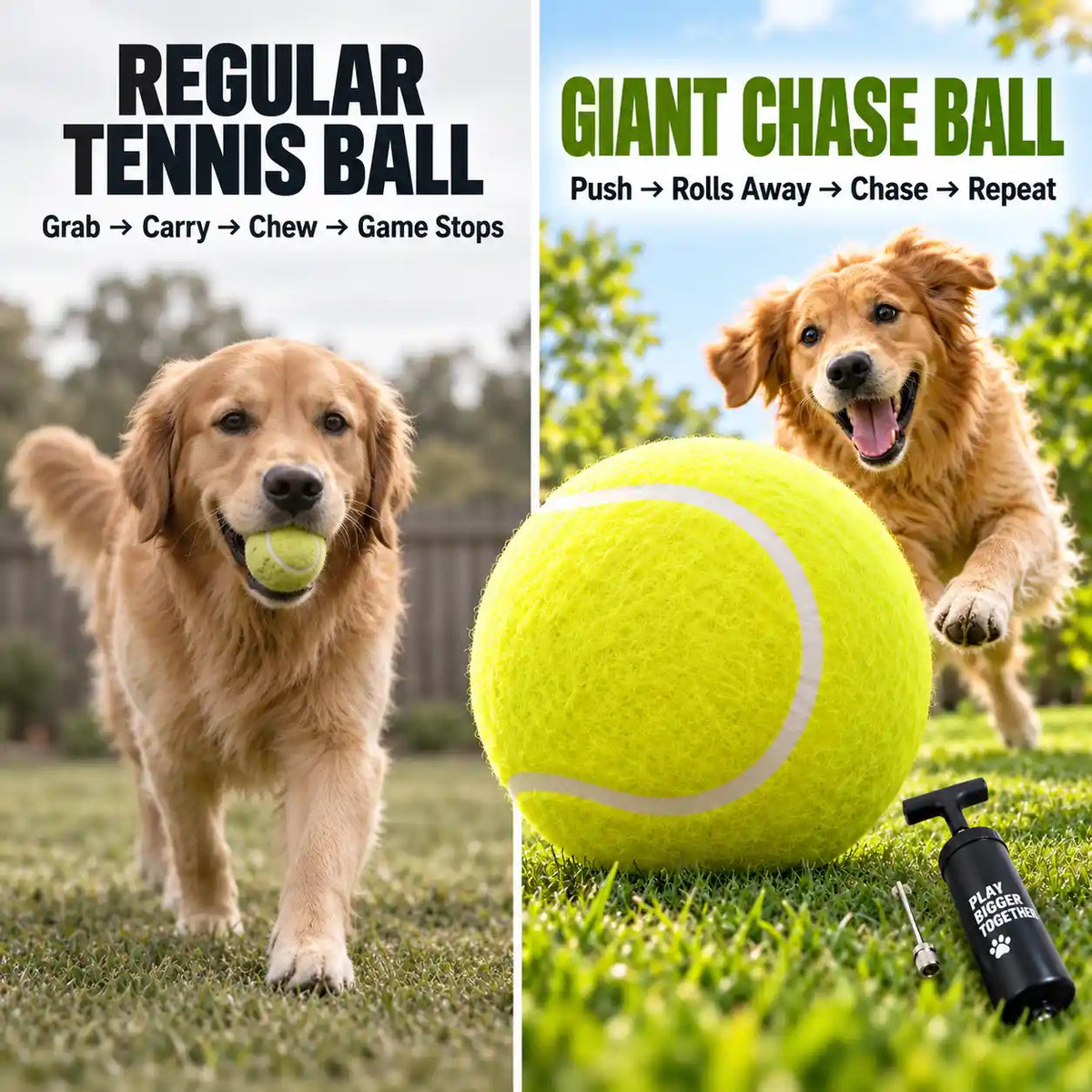 Split-screen comparison showing a golden retriever dog playing with a regular tennis ball on the left and a giant chase ball on the right, with a small pump and accessory shown on grass in a backyard setting.