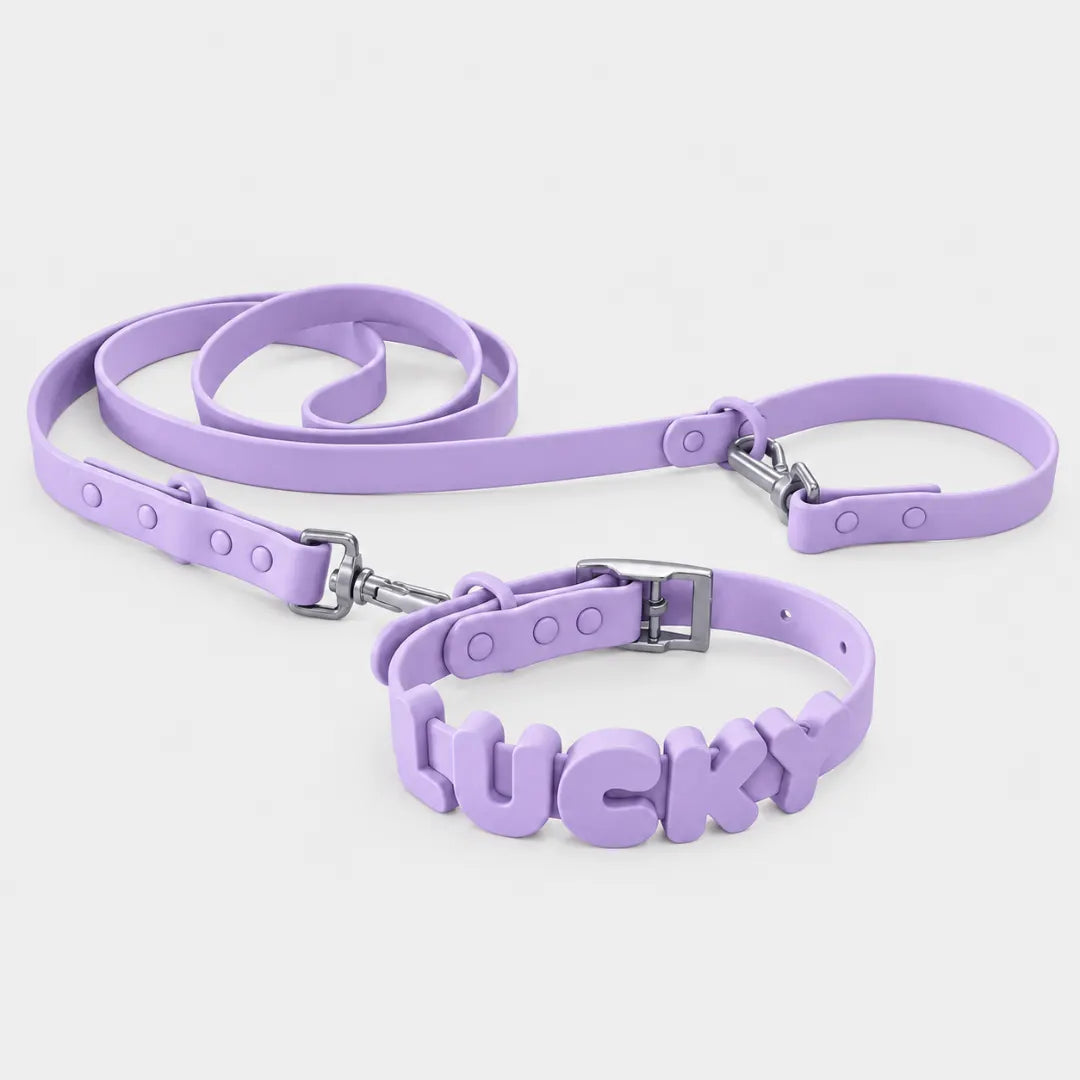 NameLoop™ Personalized Dog Collar